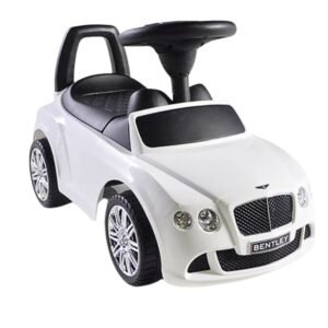 Bentley Tolo Car