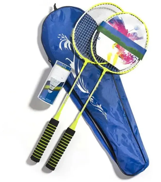 Badminton pro set