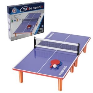 Ping pong wooden table