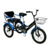 Tricycle with backseat -14-Inch - Image 2