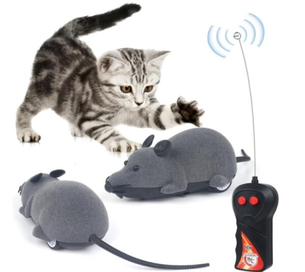 Mouse Toy