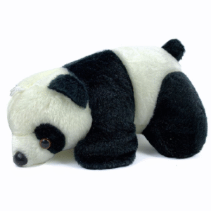 Cute Panda