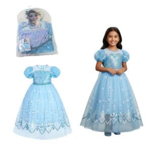 Frozen Costume Large